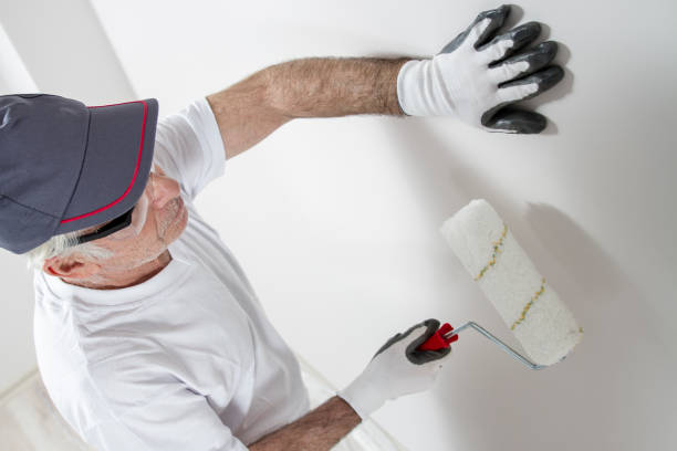 Best Attic Mold Removal  in North Eastham, MA